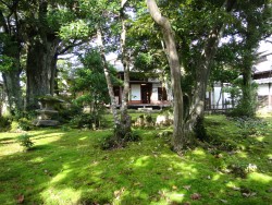 吟松舎庭園